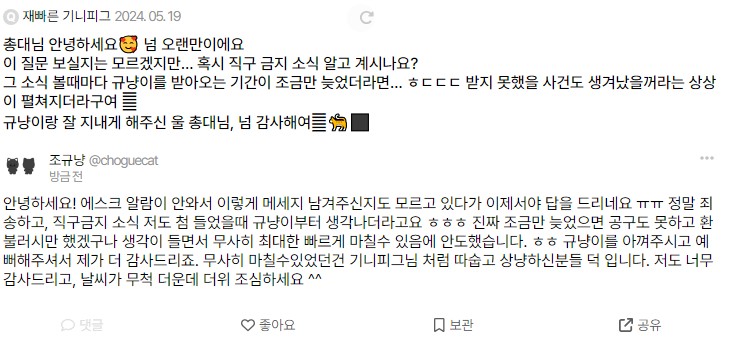 조규냥(종료) tweet media