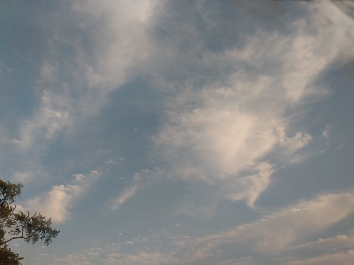 cloud as leaping frog
if I squint 🤍
#readitreadit #overheatedimagination
#punultimatesunsetb4
#summersolstice