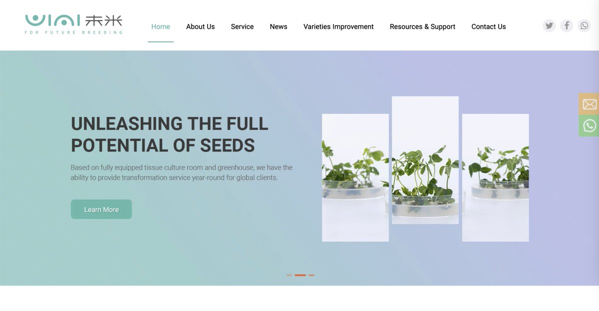 wimi_biotech's tweet photo. WIMI, whose Chinese name "未米" means "the future crops", has been a leading provider of high-quality fee-for-service plant transformation since 2017. 🌱🚀
#PlantScience
#FutureCrops
#VectorConstruction
#GeneticTransformation
https://t.co/x8SIHTViDf https://t.co/AwUyV4OL2P