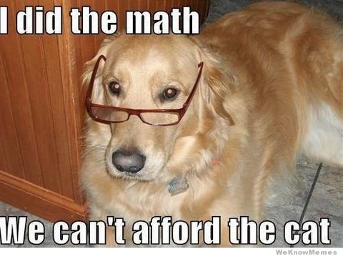 bobawuf's tweet photo. we can't do it

$WUF 🐶 https://t.co/jkiaCcYmVp