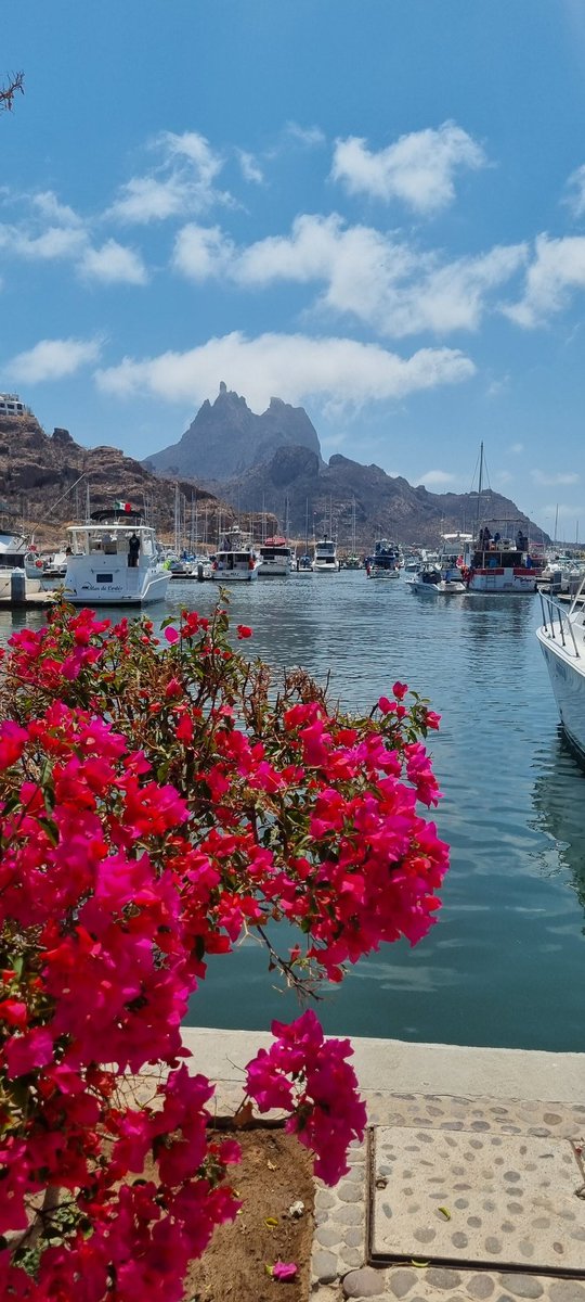 PameDVS's tweet photo. Paisajes que enamoran.
#SanCarlos #Sonora https://t.co/UcUDONj2l0