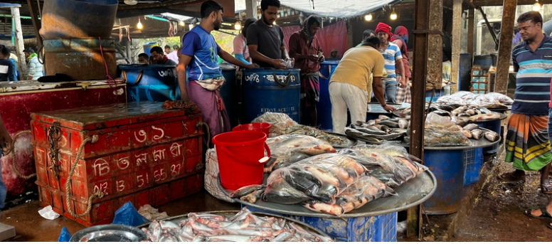 Bangladesh has made strides in sustainable food production but the country still faces food safety challenges. To increase food safety in the country <a href="/fishinnovation/">Feed the Future Innovation Lab for Fish</a> is supporting research on sources of foodborne pathogens in fish. Read more on <a href="/Agrilinks/">Agrilinks</a>: ow.ly/WW5l50SkpAr