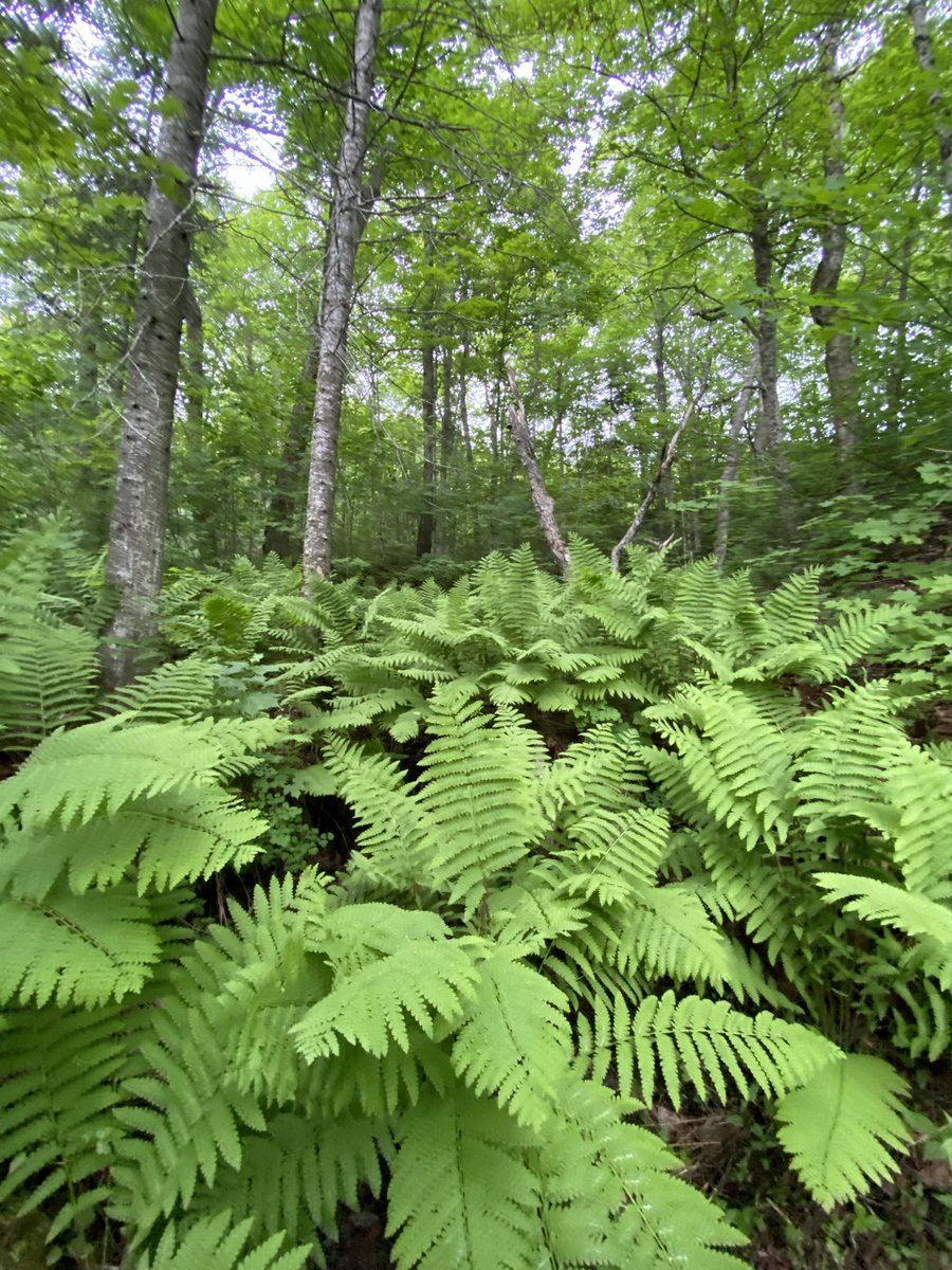 Danielle Hudson tweet media