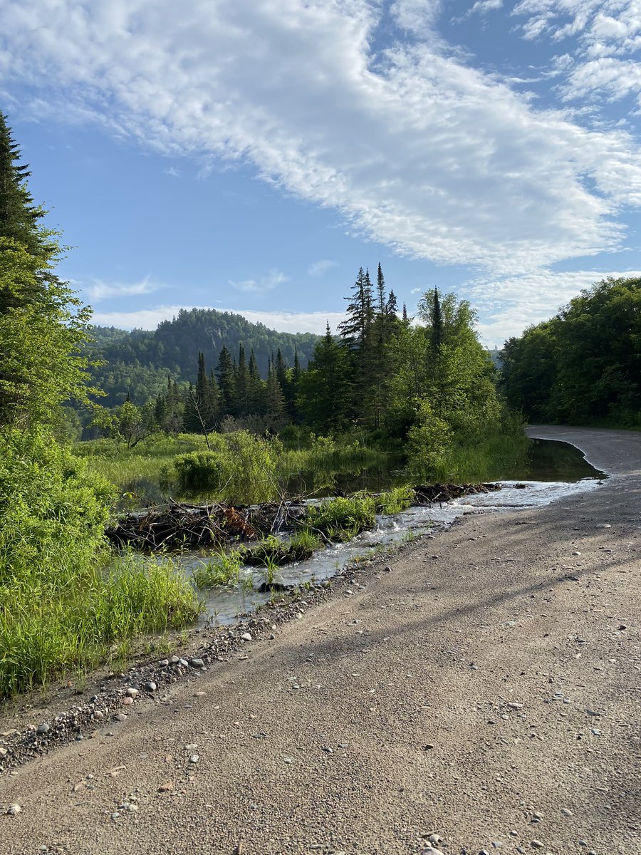 Danielle Hudson tweet media