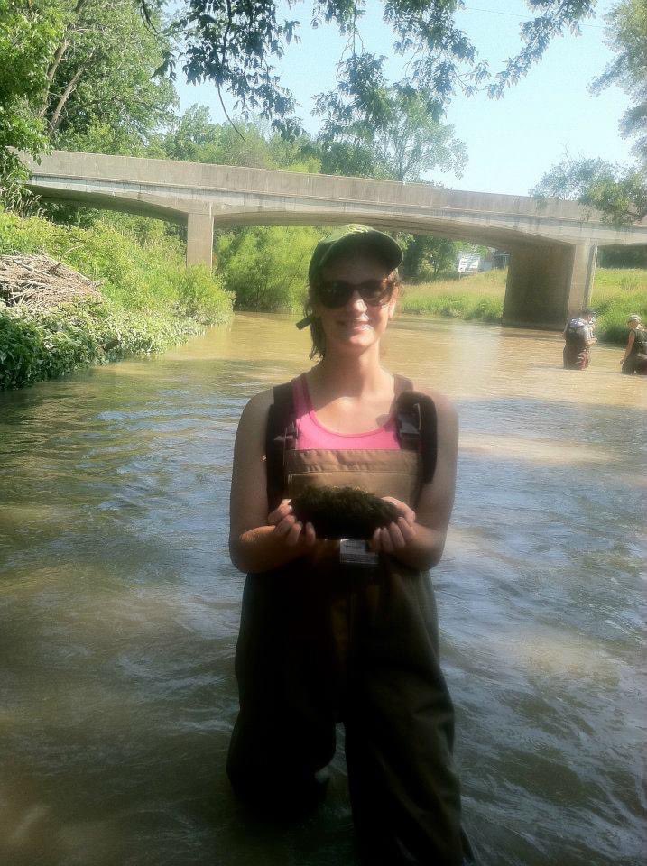 Woolnough Mussel Lab tweet media