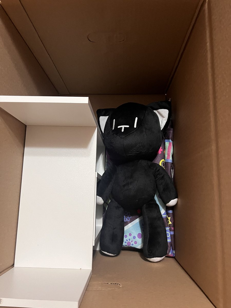 tigrepunkss's tweet photo. moving for the first time (into my first apartment too!) so you already know he’s coming with me https://t.co/E16eMcLQq5
