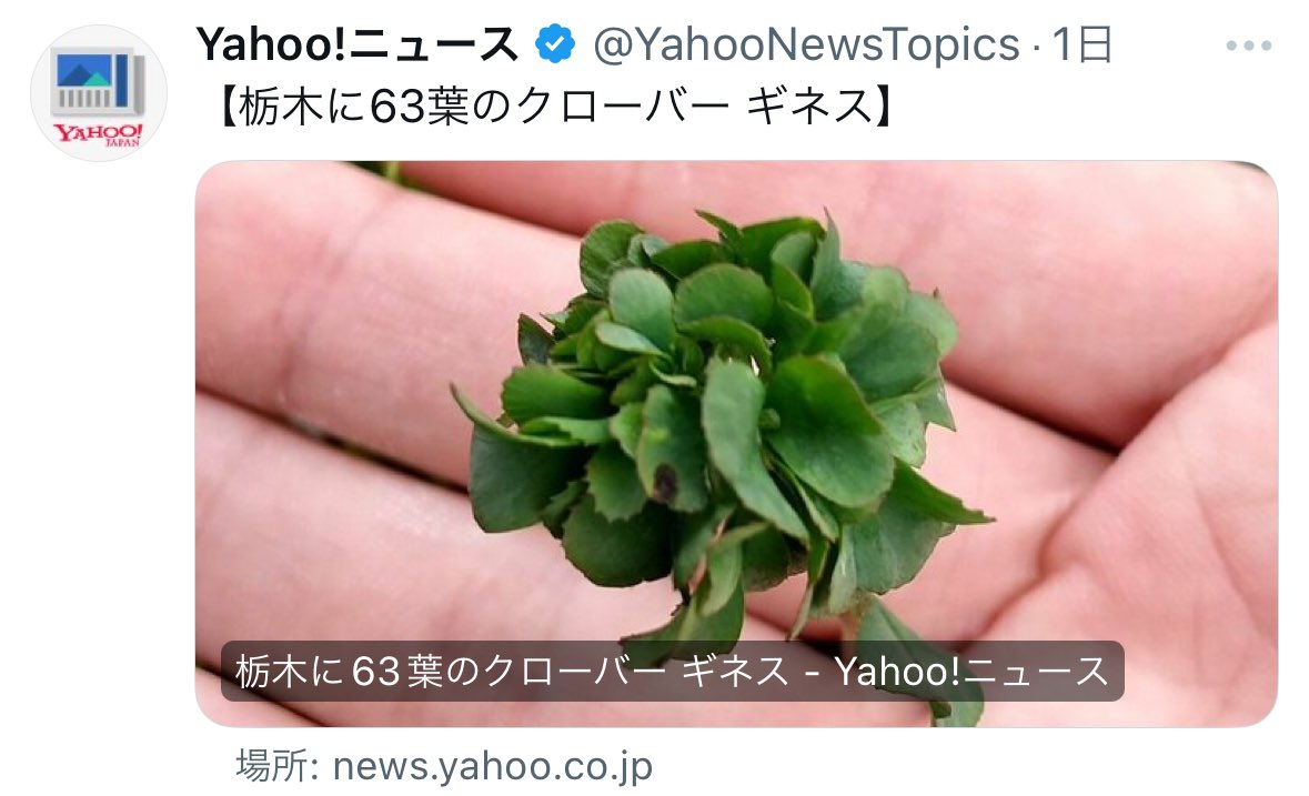 nikudanko29's tweet photo. こういうのでいいんだよ https://t.co/n5CX5ZAtJ6