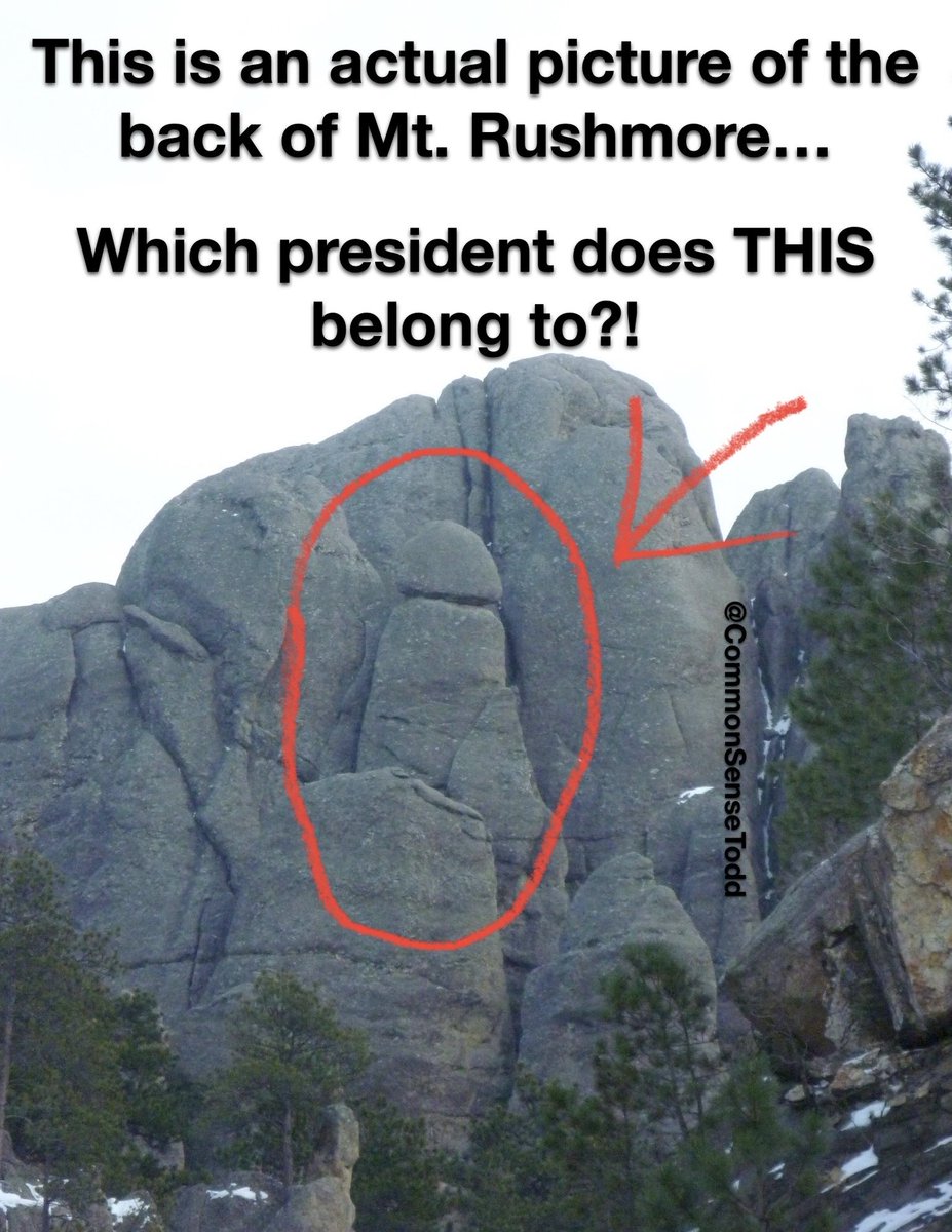 Common Sense Todd tweet media