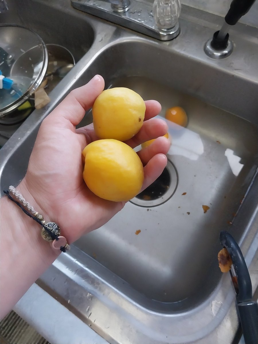Desert_Hustle's tweet photo. Remember how everyone said, "Start growing your own food"?

I did that.

Apricot yield was about 500 this year.  The birds 🐦 got some too.

Making jam and freezing some for smoothies, too.  Peaches and apples are next.

What are you growing?

#FarmToSpoon https://t.co/NuHyDPhhn3