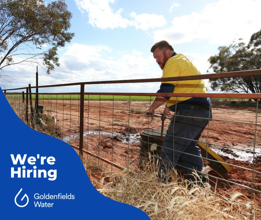 Goldenfields Water are on the hunt for a Northern Distribution Member to join our team. 👷‍♂️🚧

For more information, visit our website. 
Application close Monday 1 July 2024. 
bit.ly/3IVtSa7