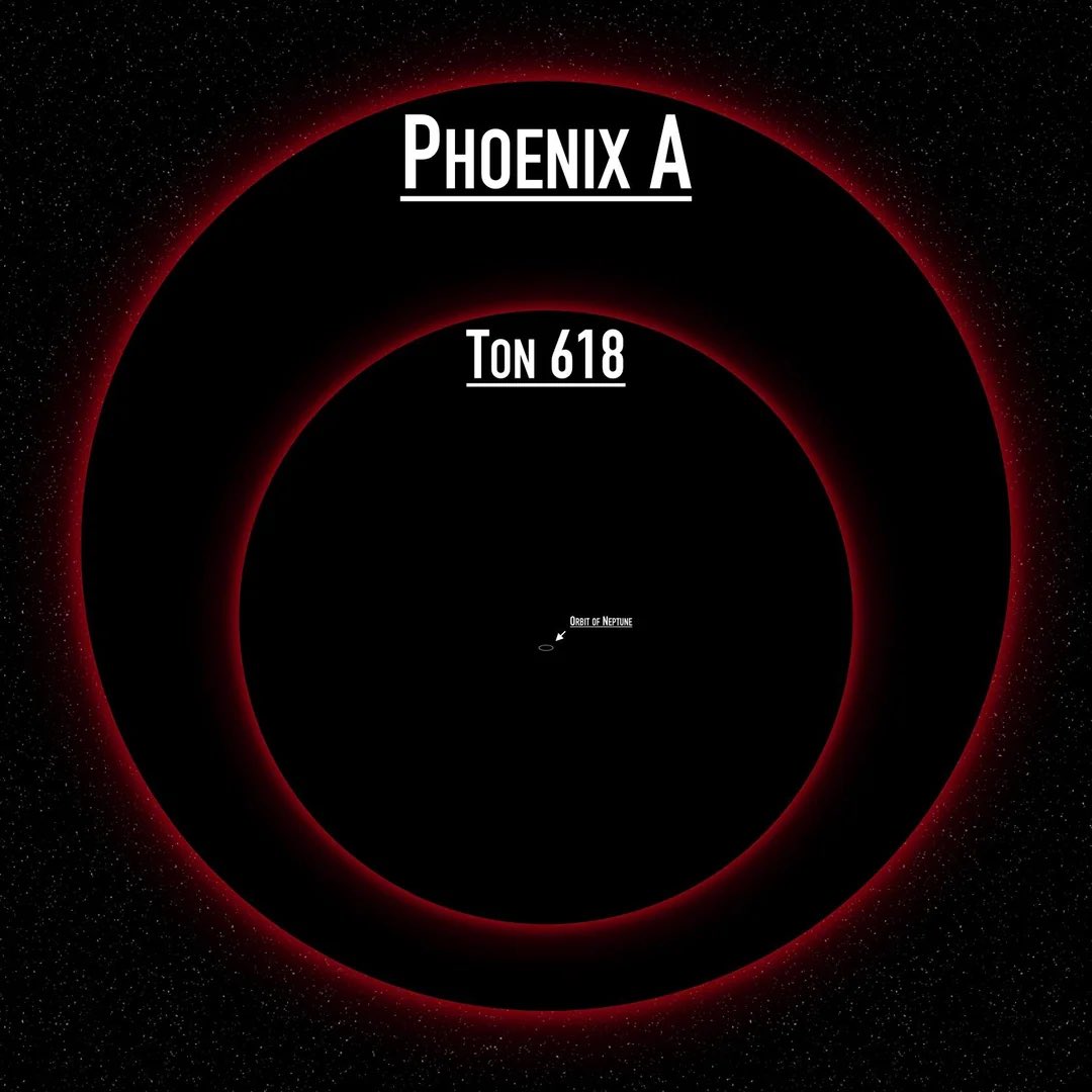 This post is inaccurate because Phoenix A is the largest black hole discovered and this is what ton618 would look like inside of it! ( also in the middle there that’s the orbit of Neptune around the sun ! ) we truly are small !