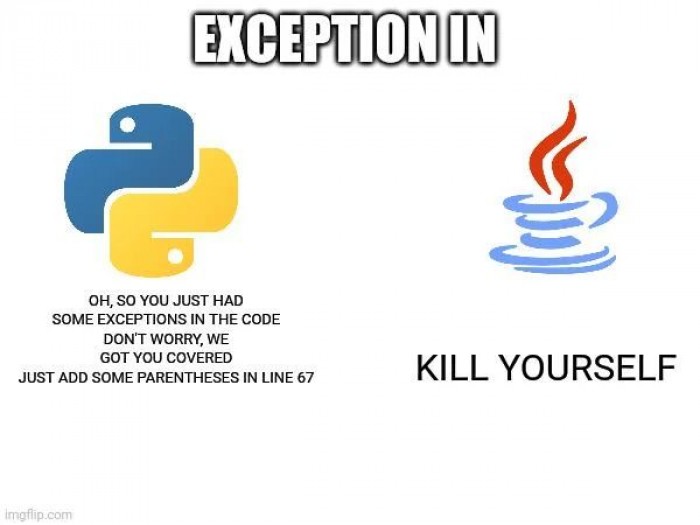 Java always takes exception 🤷🏻‍♀️