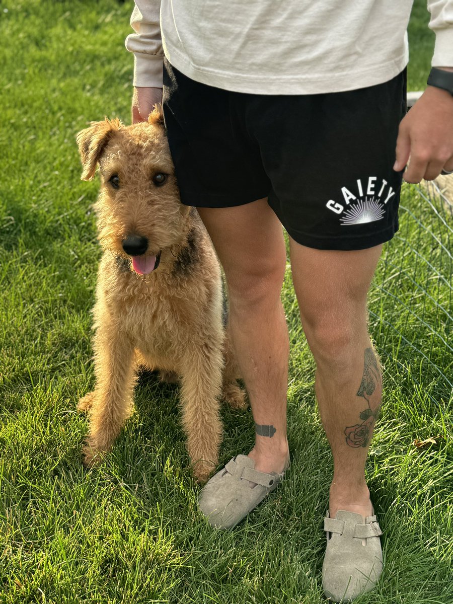 paulsellsstuff's tweet image. Dog in the pic can’t hurt right?