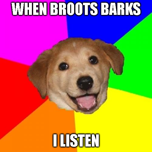 bobawuf's tweet photo. @iambroots $WUF? https://t.co/waWcYfpyS0