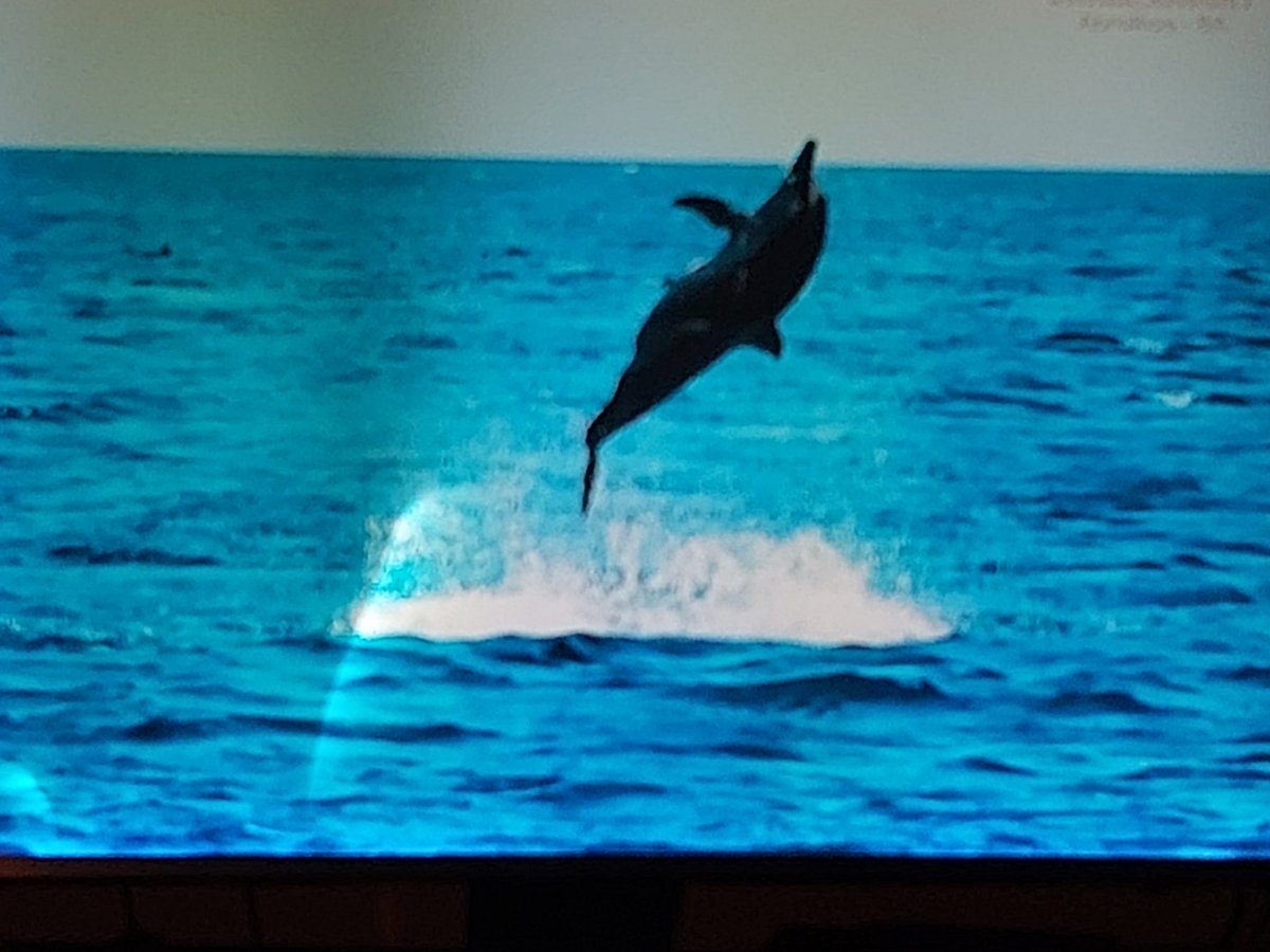 GÊNIO!GÊNIO!GÊNIO!