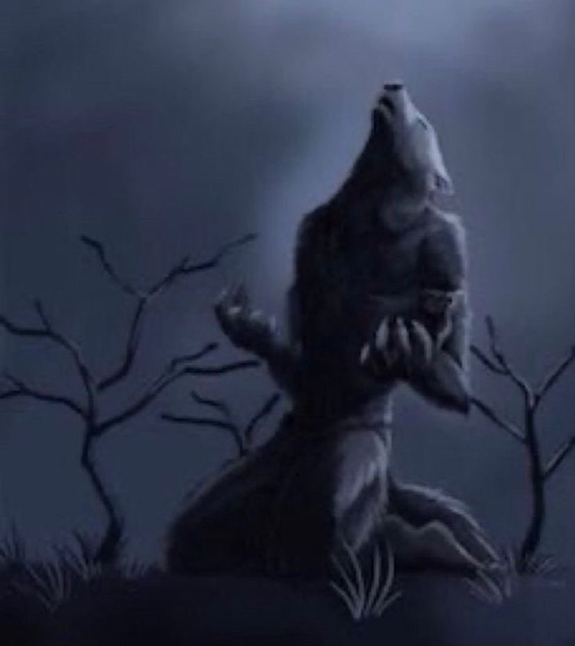 moonfiil's tweet photo. estoy CANSADA de no tener mi grupito de stays para comentar y emocionarnos por todo lo que hacen los cabros 😭😭 https://t.co/OL2f0ZbLa5