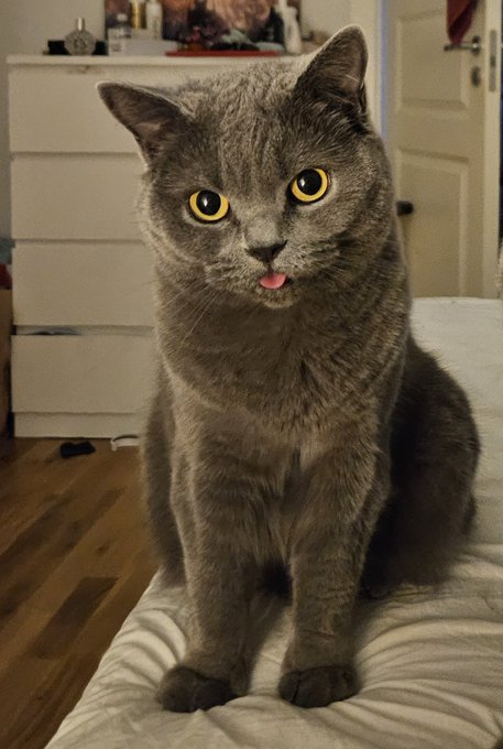 😛 https://t.co/w0m9AYDmx1