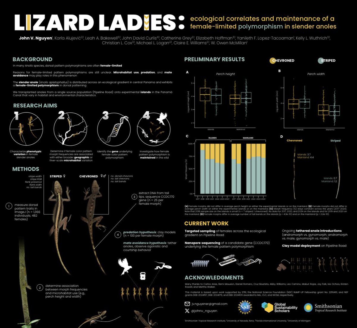 John Nguyễn (@johnv_nguyen) on Twitter photo Presented some ongoing research at the #BCI100 conference today! A culmination of nine months with @gsscholars at <a href="/stri_panama/">Smithsonian Panama</a>. Only one month left to catch 'zards, deploy clay models, and sequence some samples 😢🦎. Presented some ongoing research at the #BCI100 conference today! A culmination of nine months with @gsscholars at <a href="/stri_panama/">Smithsonian Panama</a>. Only one month left to catch 'zards, deploy clay models, and sequence some samples 😢🦎.