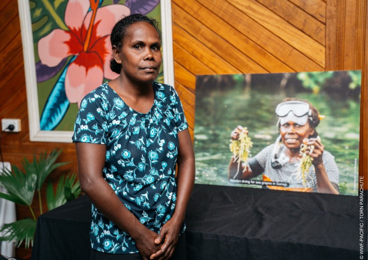 Four Western Province communities showcased sustainable sea grape management and eco-friendly products in Honiara through an 18-month project by CRxN and WWF-Australia. It boosted women-led enterprises, and ecosystem health!

© WWF-Pacific/Torn Parachute.

#WomenInConservation