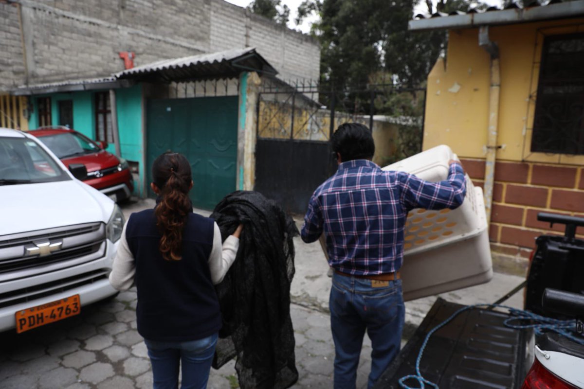 🚨 #DenunciasAtendidas | Respondiendo a una denuncia recibida hoy, nuestro equipo de inspección actuó rápidamente ante el caso de un presunto abandono de felinos en una vivienda. 

🧵1/2

<a href="/pabelml/">Pabel Muñoz L.</a> <a href="/zonaeloyalfaro/">Zonal Eloy Alfaro</a>