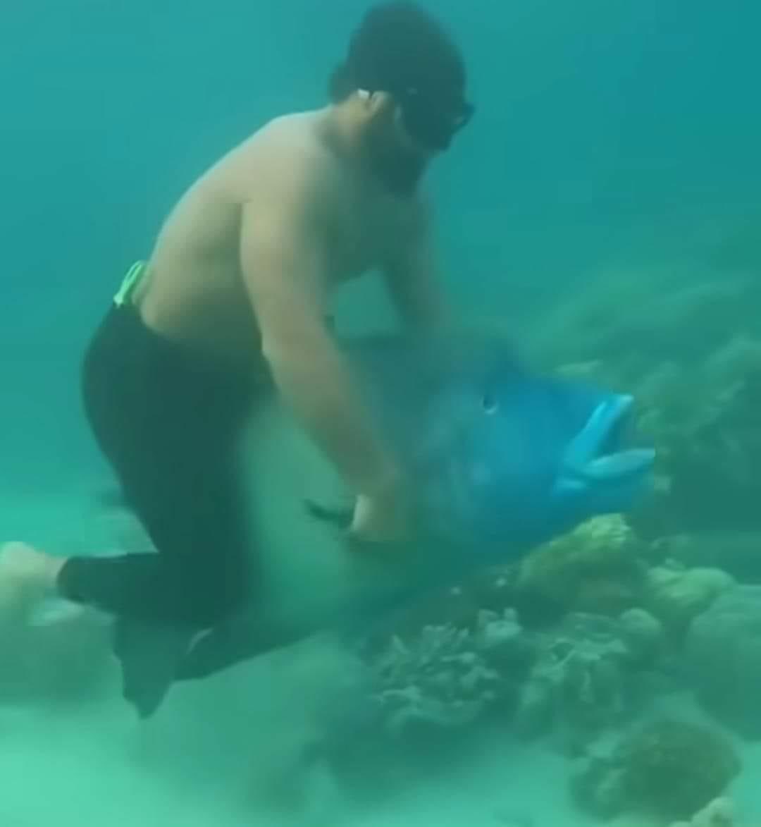 sosmedkeras's tweet image. Menaiki kuda❎
Menaiki ikan✅