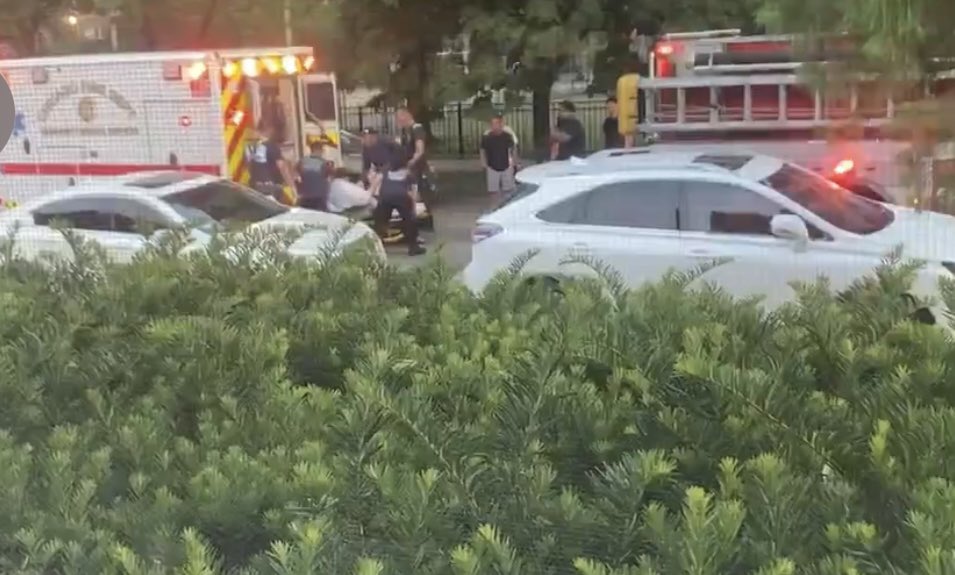 DunningWatch tweet media