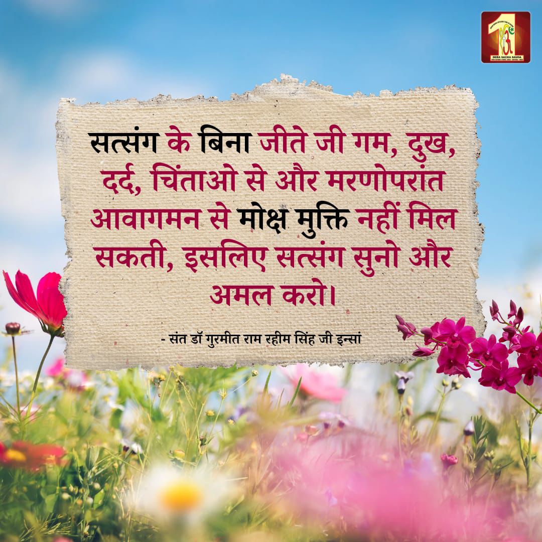 Savita Chillar tweet media