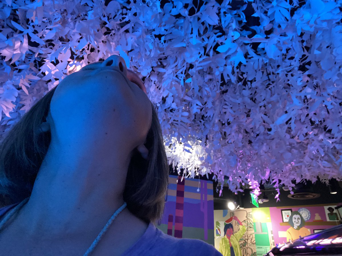 Paper cut leaves all over the ceiling. The biggest and most artistic tree I ever did see 🌴 📄 <a href="/MeowWolf/">Meow Wolf</a>