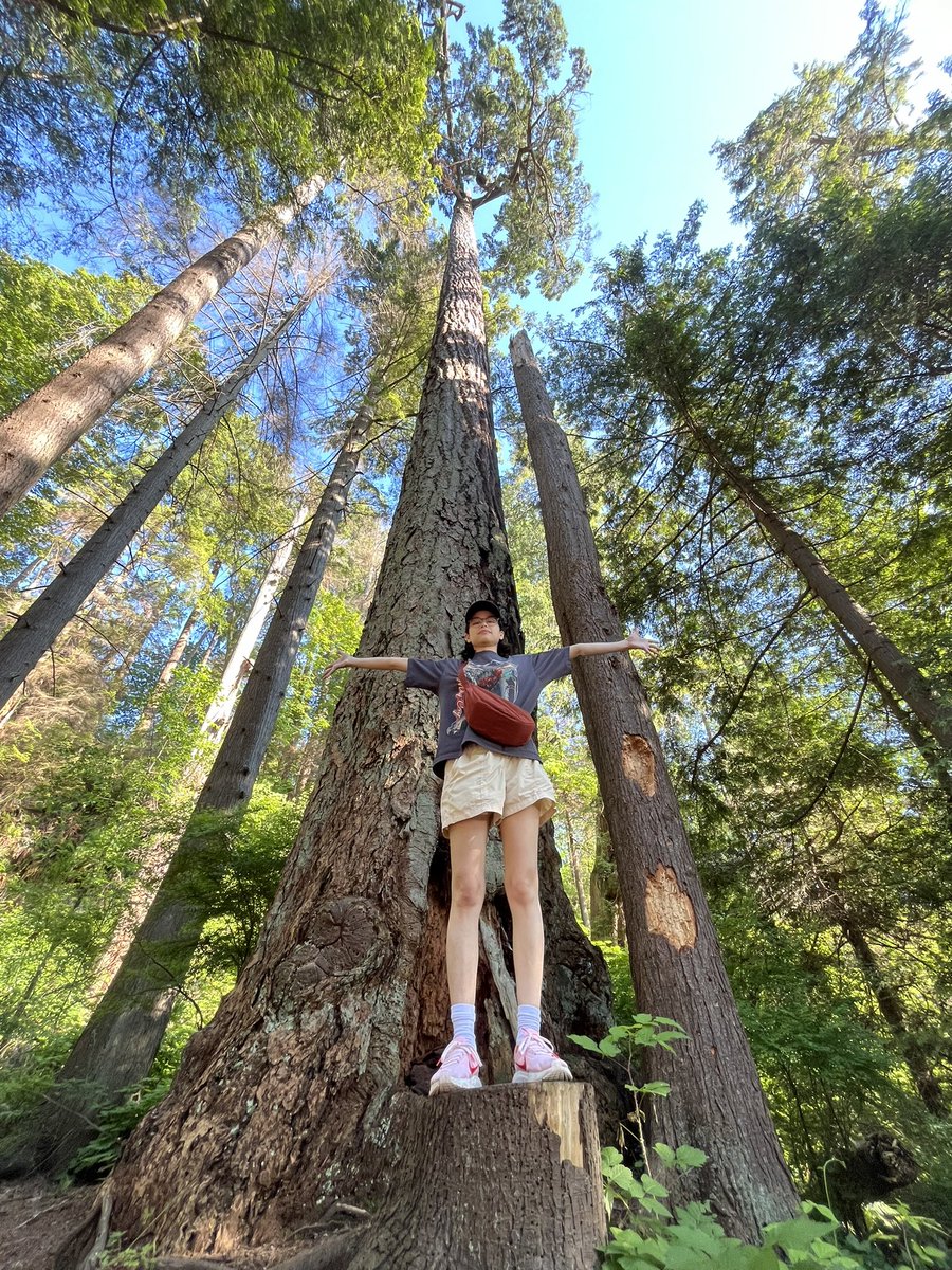 Steve Ly tweet media