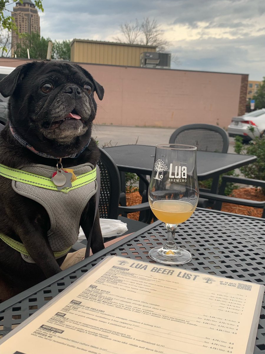 PugEthel's tweet photo. I took Mom and Dad out tonight so I could have a good time on the brewery patio.  #dogsofX @luabrewing #nodogsallowedinside https://t.co/TF6G6hhYSr