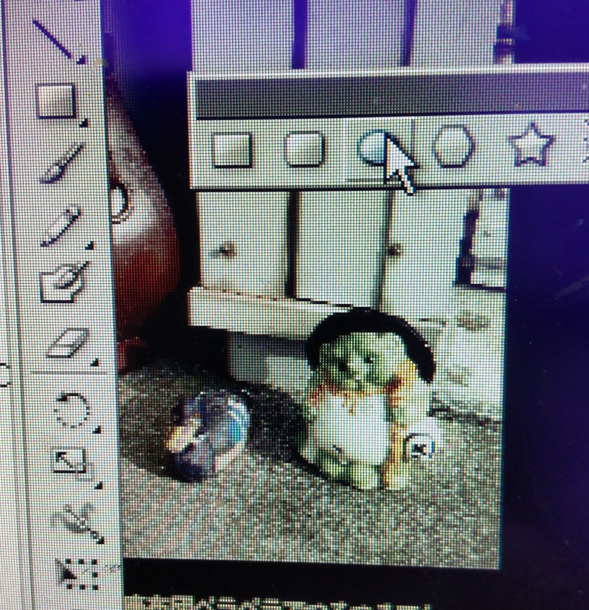 ochan_pp's tweet photo. 最新号作成中。 https://t.co/XjC4pIp7Wm