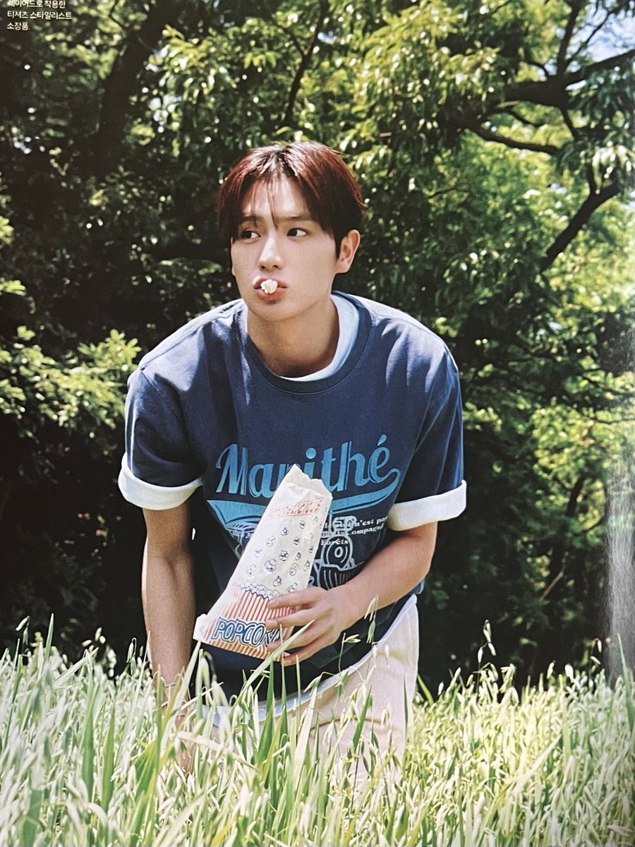코이 tweet media