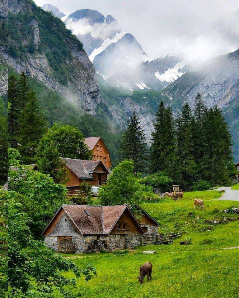 Switzerland 🇨🇭