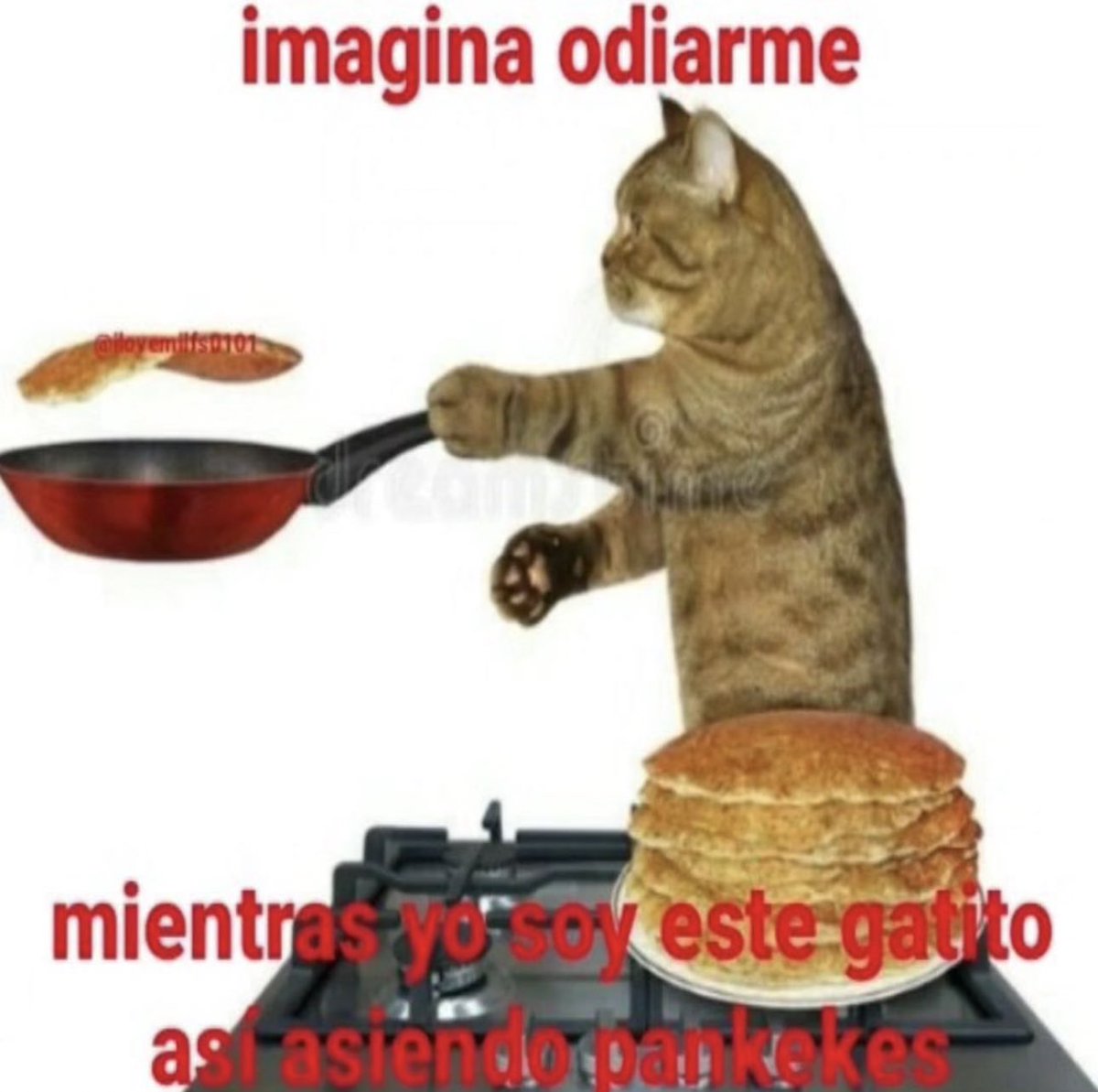 piña sin pizza (@skereunpesado) on Twitter photo 