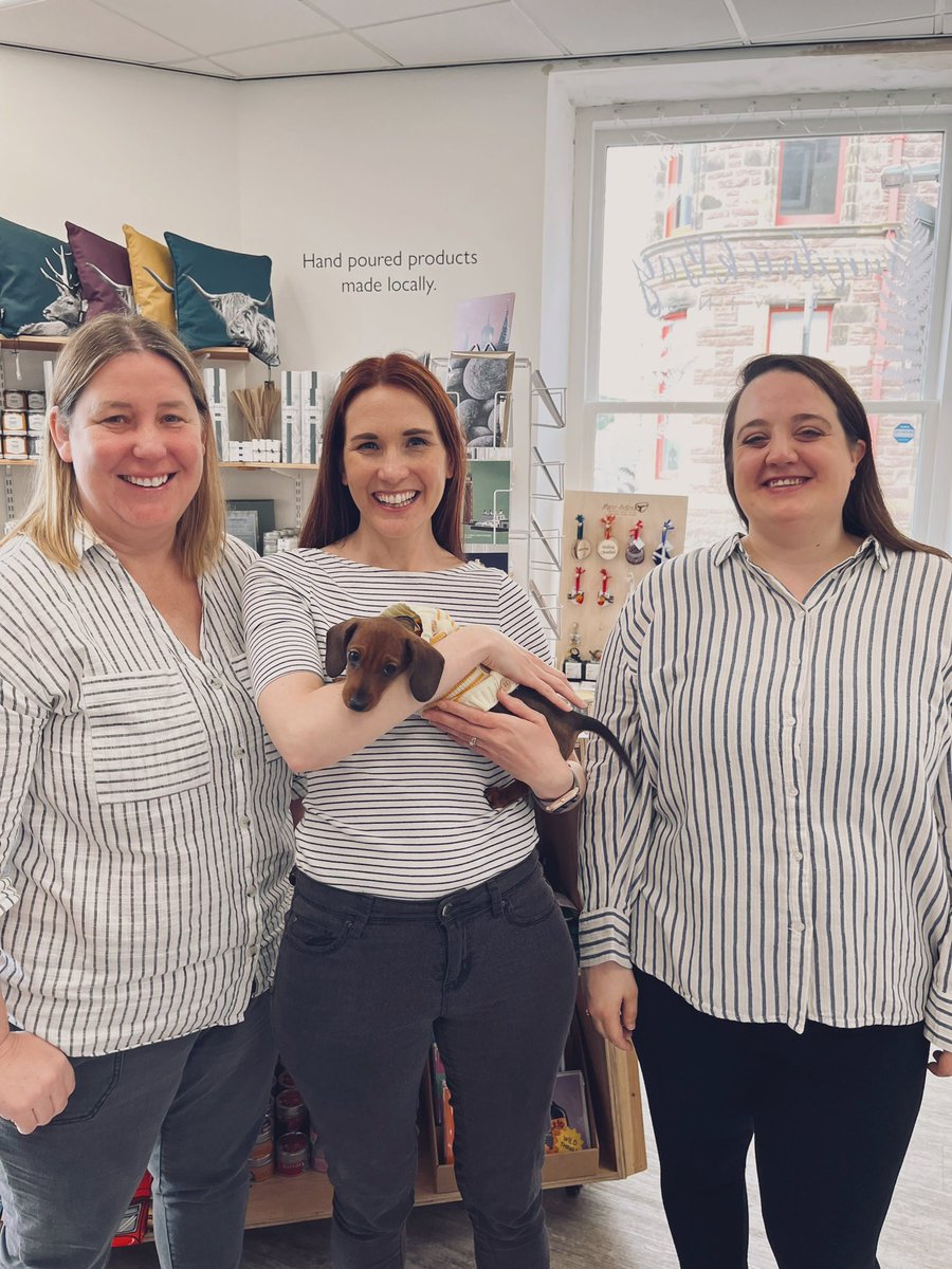 Yes our shop in Stornoway is dog friendly stripes not always required 😎 

#stornoway #outerhebrides #dogfriendlyshop