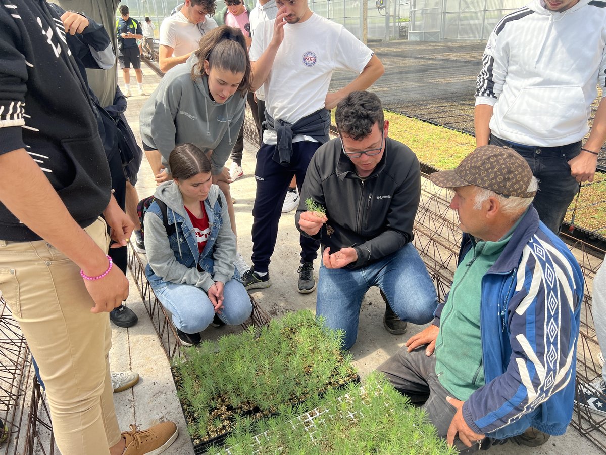 alourizan's tweet photo. Visita a Viveiros Growin.
Os Alumnos de  primeiro de Ciclo medio e Primeiro  de Superior, visitaron Viveiros Growin en donde poideron observar un viveiro punteiro en tecnoloxía calidade e productividade.
Mais info na nosa páxina web https://t.co/4CHidAyxAZ https://t.co/IqVzBgS6g1