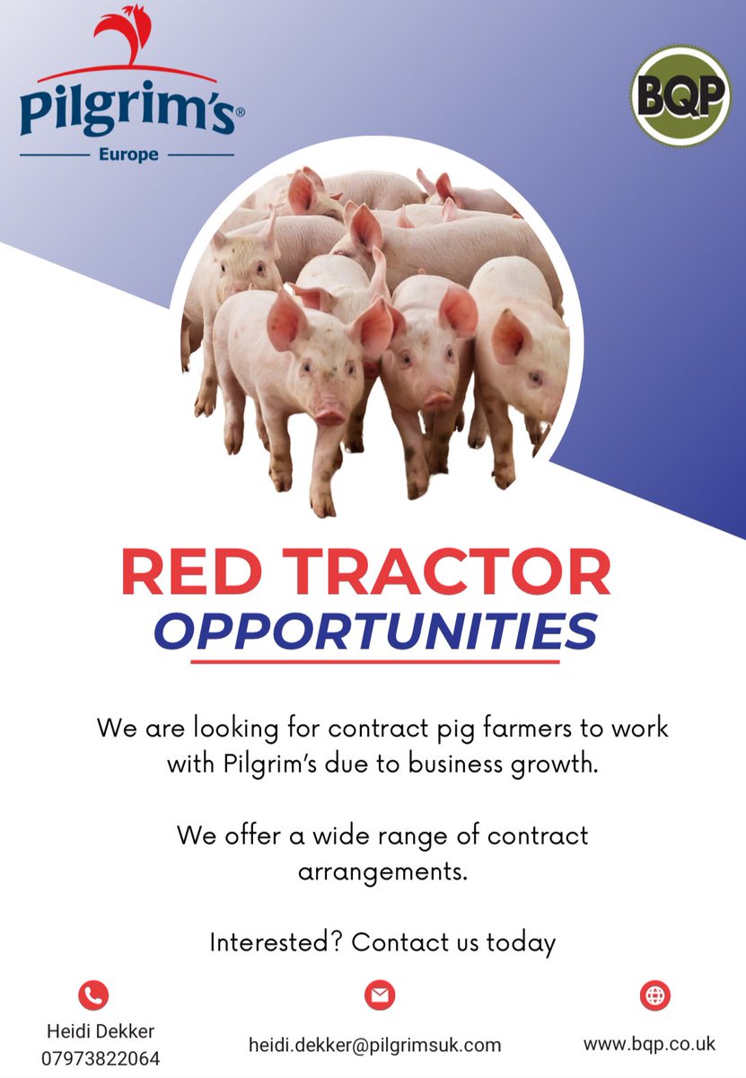 🔺Are you a pig farmer looking for new opportunities? Contact us for more information 📧 📞

#pigfarming #pig #opportunities
