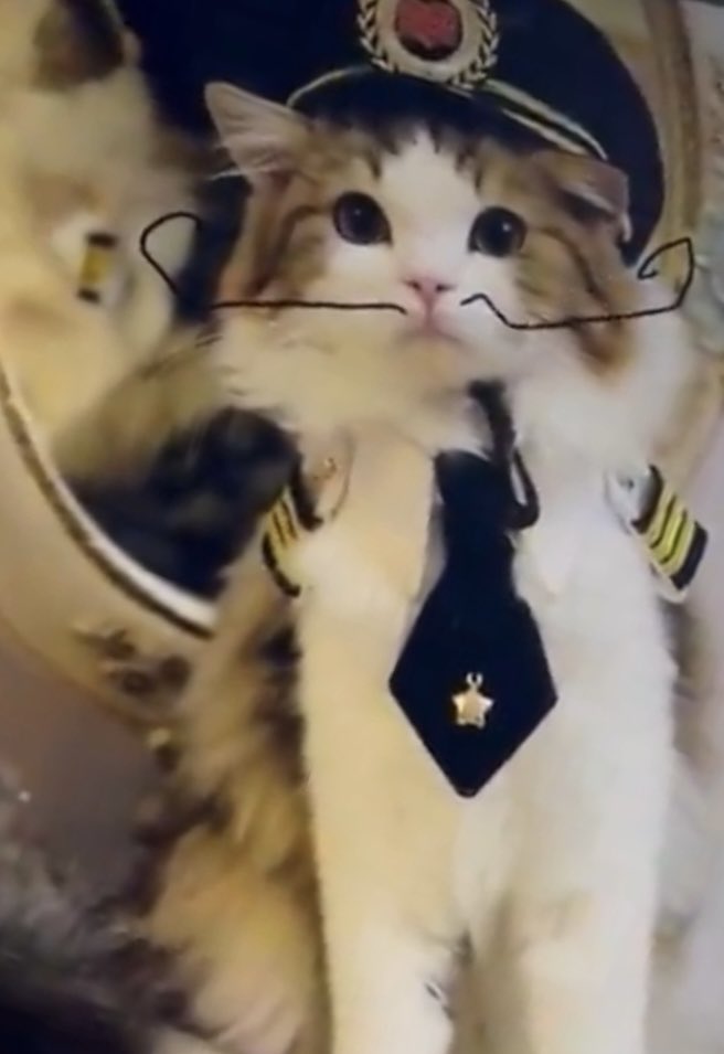 0xVonGogh's tweet photo. The first $NCAT on Solana ( CTO )

82Rc22mnyHrmBGwj15rhYhFzVrU3bgFkjNtV3iHjpump

@ModdedQuad created this cat meme using nothing but his brain @elonmusk  check this out 🤯 MEWOW!!! https://t.co/Est3JDiNdE