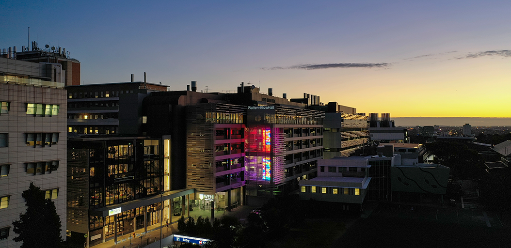 WEHI (Walter and Eliza Hall Institute) (@wehi_research) on Twitter photo WEHI is recruiting for a Centre Head to lead the Colonial Foundation Diagnostics Centre.
A joint initiative of WEHI and <a href="/TheRMH/">The Royal Melbourne Hospital</a>, the Centre has a vision to revolutionise health outcomes by developing new kinds of diagnostic pathology tests.
Full details: wehi.wd3.myworkdayjobs.com/broadbean_exte… WEHI is recruiting for a Centre Head to lead the Colonial Foundation Diagnostics Centre.
A joint initiative of WEHI and <a href="/TheRMH/">The Royal Melbourne Hospital</a>, the Centre has a vision to revolutionise health outcomes by developing new kinds of diagnostic pathology tests.
Full details: wehi.wd3.myworkdayjobs.com/broadbean_exte…