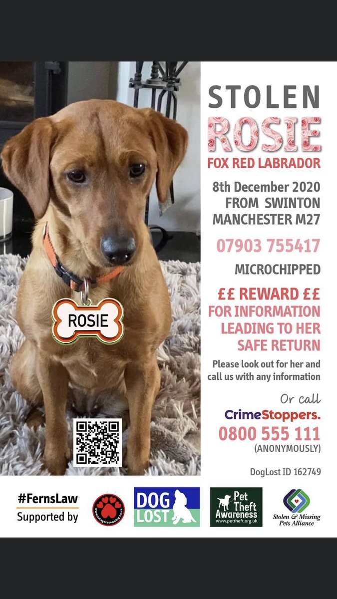 RachaelB100's tweet photo. βοΈTODAY ROSIE IS 5βοΈ
Pls RT & look out for her.
Letβs help her home for her Birthday & Help end this heartache for her owner.
She needs to go Home π
#findRosie
#PetTheft #Chipped #ScanthatChip #Stolen #Swinton #Manchester
https://t.co/EazeJGMm8P
https://t.co/JbmhmCIulz https://t.co/K7Gvj8gDNp