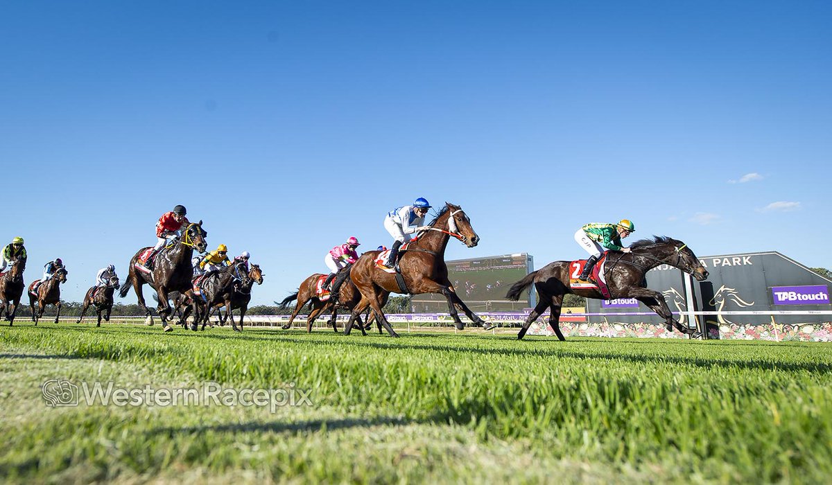 UNDERCOVER SNIPER - Pinjarra Thurs 20th June <a href="/PinjarraPark/">Pinjarra Park</a> #WesternRacepix #PinjarraRaces 

More 📸 westernracepix.com