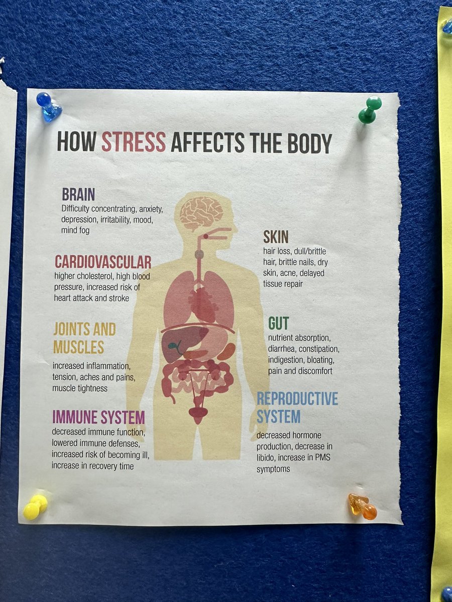 AMBecosystem's tweet image. 