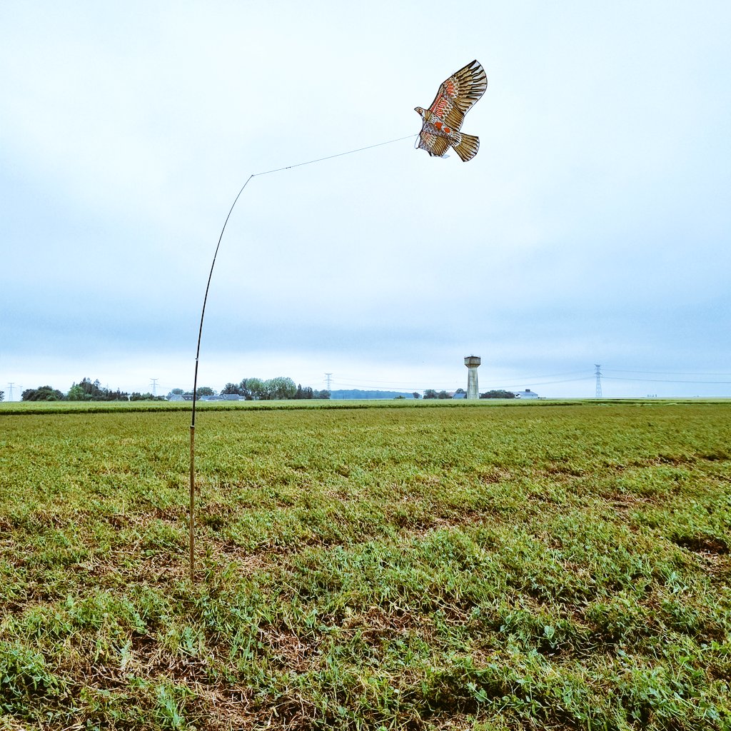 ML6012's tweet image. #planprotéines en action. Des mets de choix pour les autochtones