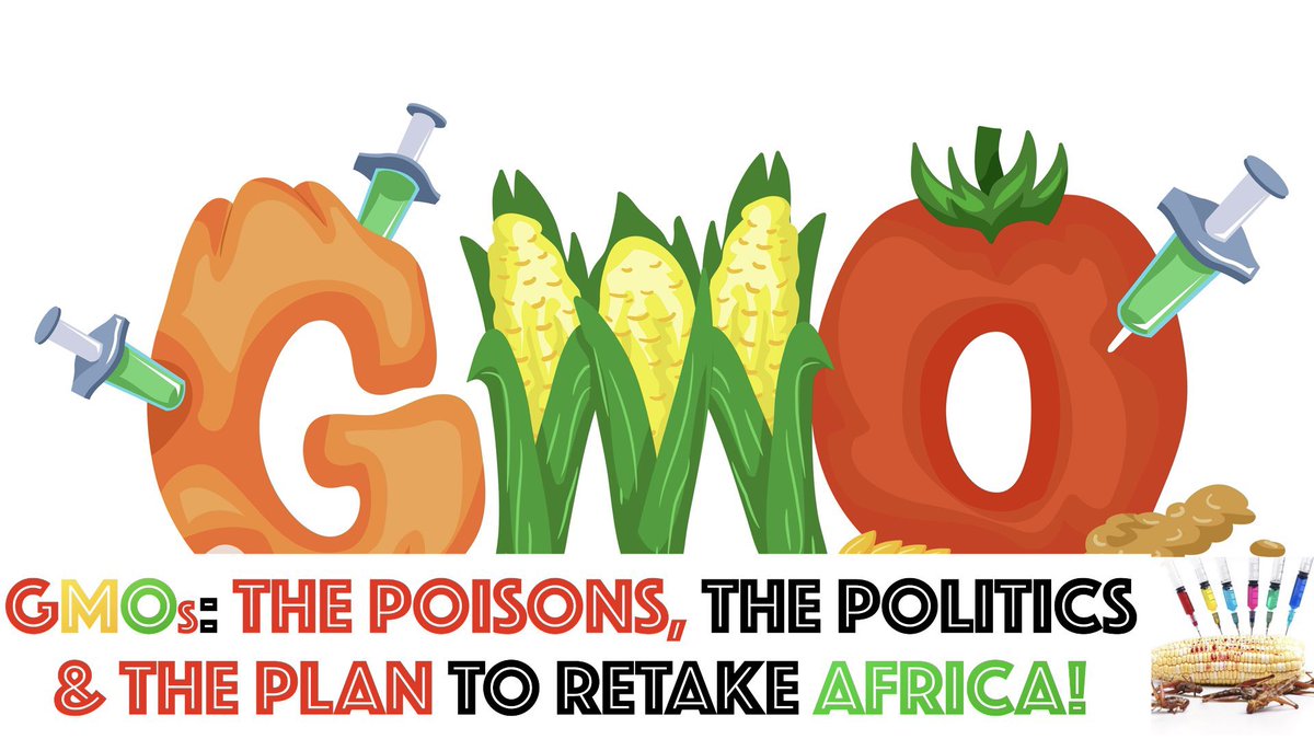 jcokechukwu's tweet image. GMOs: The Poison, The Politics &amp;amp; The Plan to Retake Africa. 

In this new video update, I have taken my time to explain to those who still may not understand, what the genetic modification of seeds and crops is all about and how we are being poisoned through it. You can share…