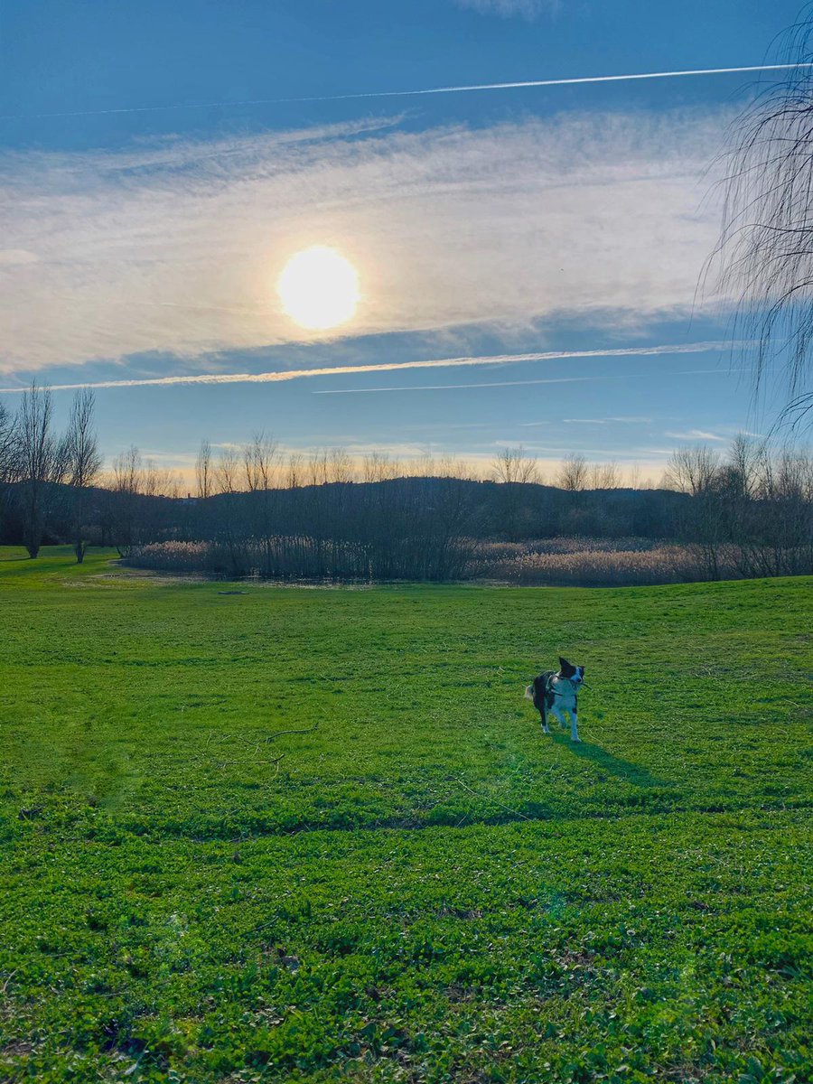 Son pocos los países que pueden ver su bandera formada en el cielo.

Feliz día de la bandera Argentina 🇦🇷