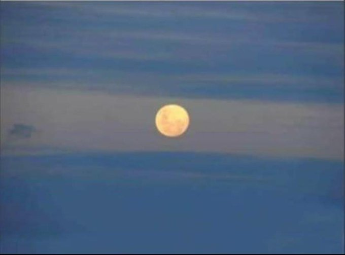 la única que se dibuja en el cielo, feliz día 🇦🇷