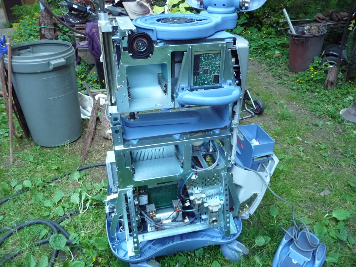 Rue Mohr🇨🇦 tweet media