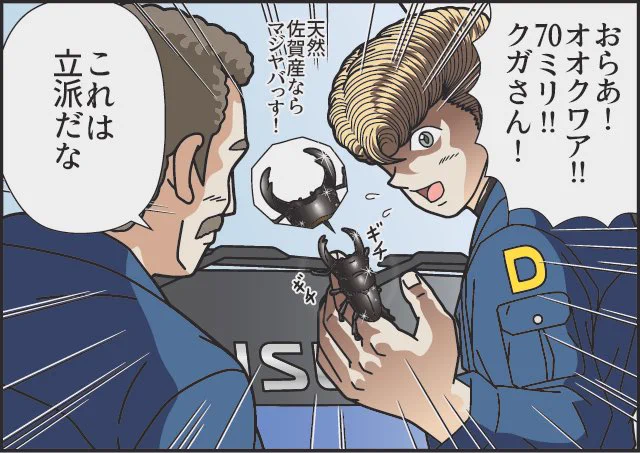 ブラックダイヤモンドSaGa(1/0)

トラック仲間の虫とり名人曰くコクワ ヒラタ ミヤマ ノコギリ(水牛) は取れたけどオオクワだけは見つけられなかったな〜 