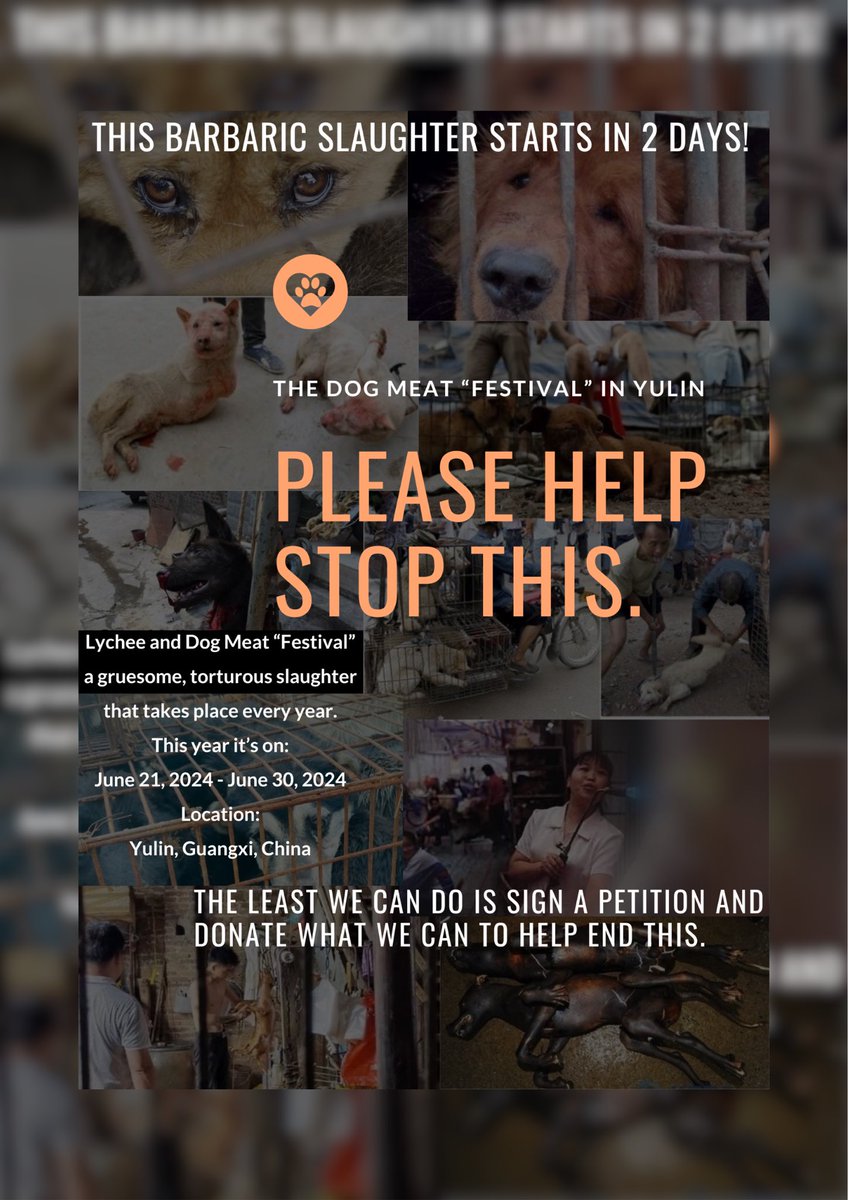 petsanimalslove's tweet photo. In 2 more days, June 21-30, 2024, the Yulin Dog Meat “Festival” will subject thousands of dogs &amp; cats to unspeakable cruelty. This must stop! 🐶🐾💔

Sign the petition linked in our bio to end this horror &amp; share to spread awareness. #EndYulin2024 #EndAnimalCruelty #SaveTheDogs https://t.co/QkBjLgKabJ