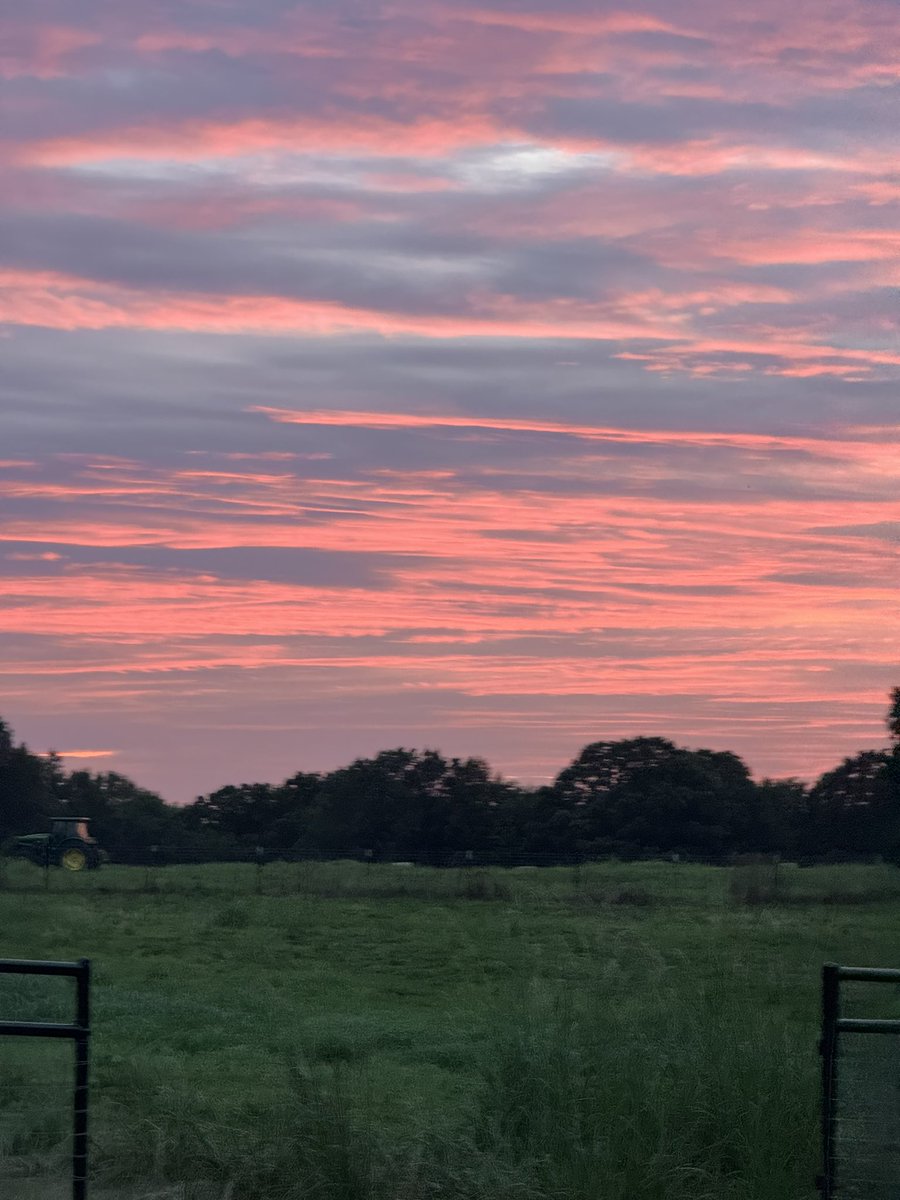 KLiberty70's tweet photo. North East Texas sunset…love my home town ♥️
#Cookville
#Johndeere
#Texas https://t.co/LqnJrc1B4M